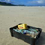 Beach clean findings (1)