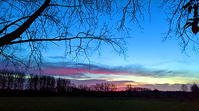Picture of a colourful dawn over a field with trees at the edge
